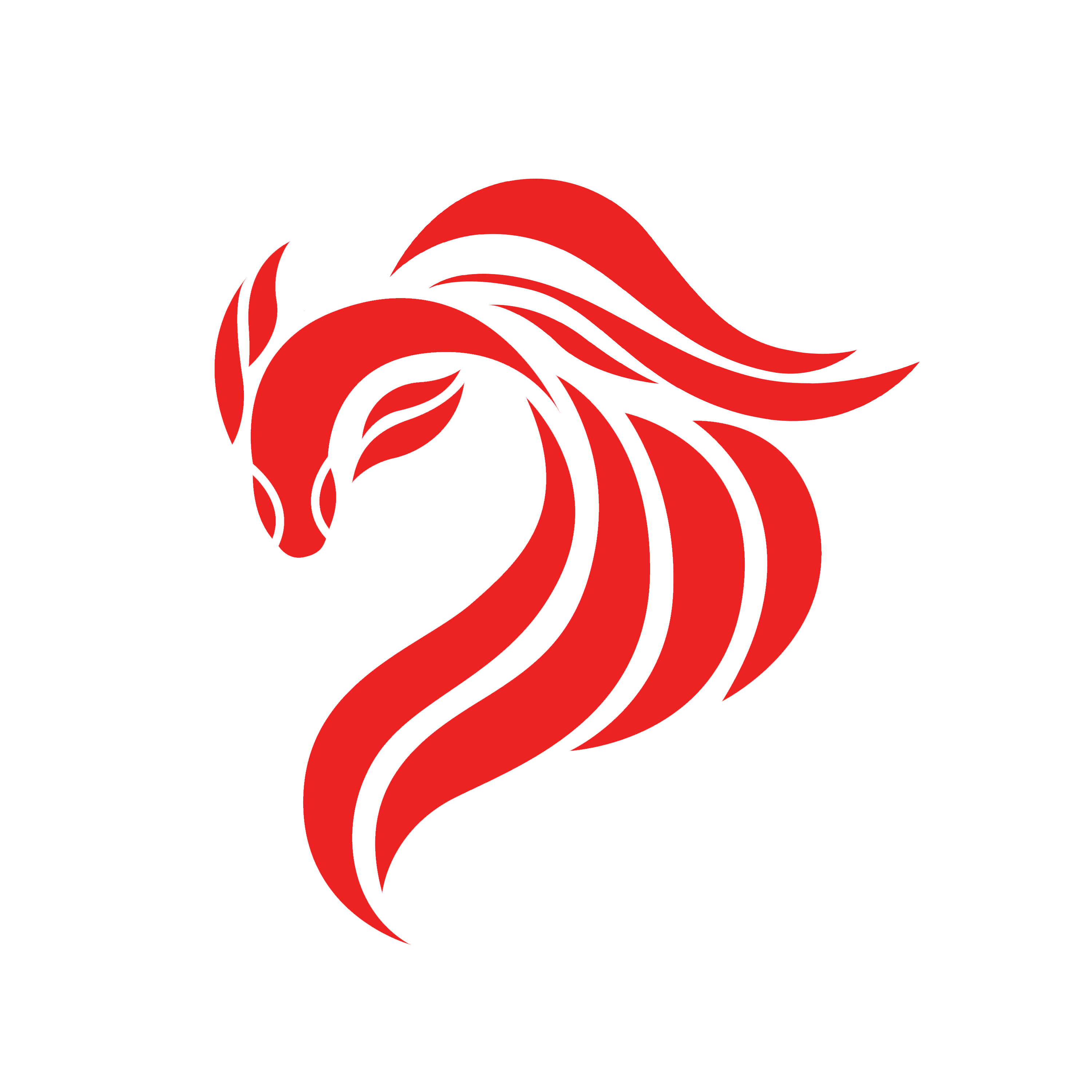 Logo of a red fighting fish